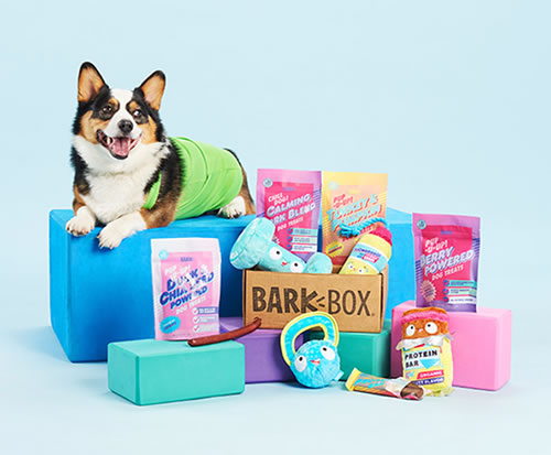 Companies that Excel in Understanding Their Target Market - BarkBox